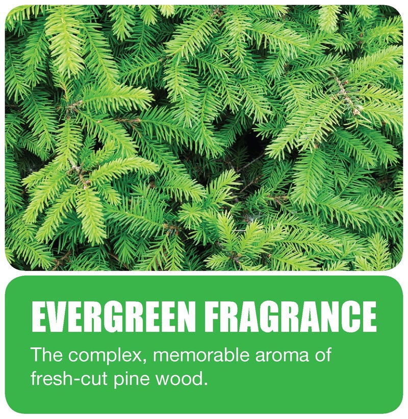 Big D 675 Toilet Bowl Rim Hanger with Non-Para Block, Evergreen Fragrance, 1500 Flushes (Pack of 12) - Ideal for restrooms in offices, schools, restaurants, hotels, stores, White - Image 5